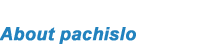 About pachislo